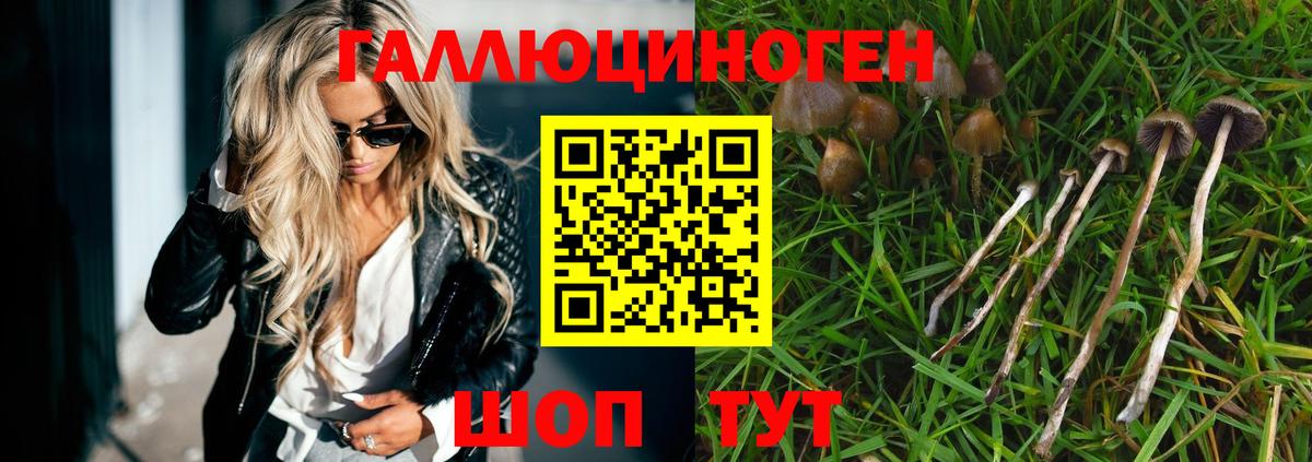 Галлюциногенные грибы GOLDEN TEACHER Астрахань